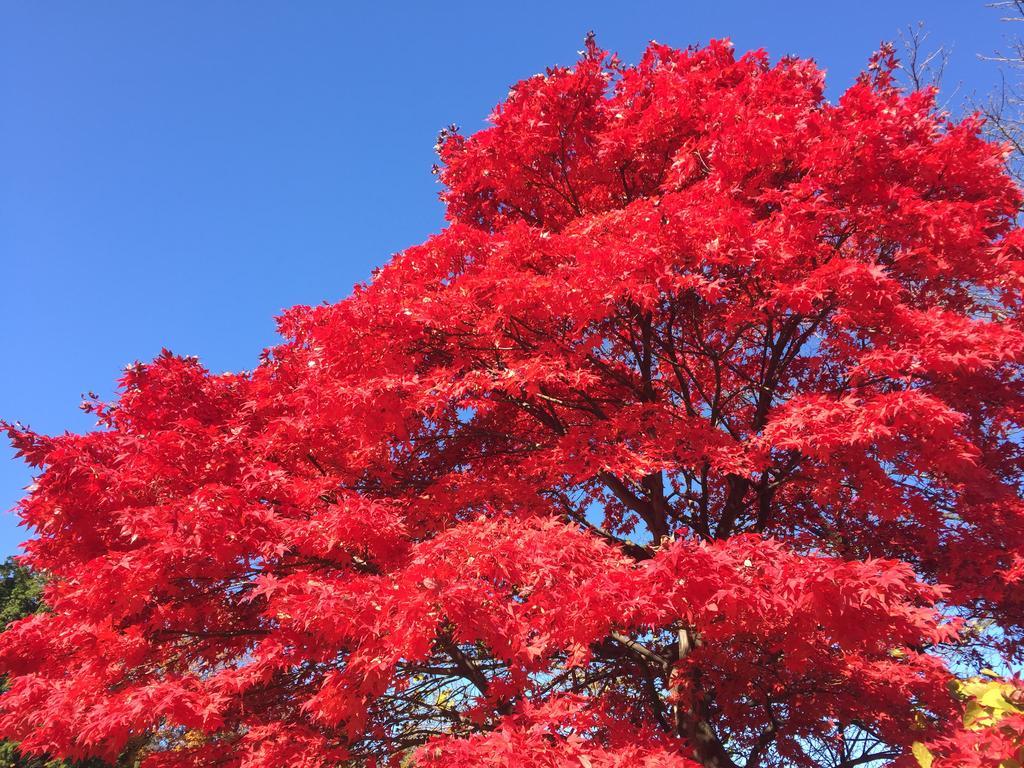 Kinugawaonsen Fukumatsu Otel Nikko Dış mekan fotoğraf