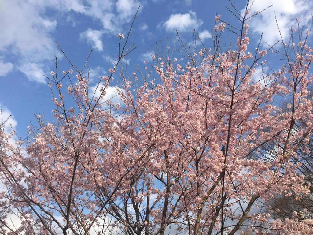 Kinugawaonsen Fukumatsu Otel Nikko Dış mekan fotoğraf